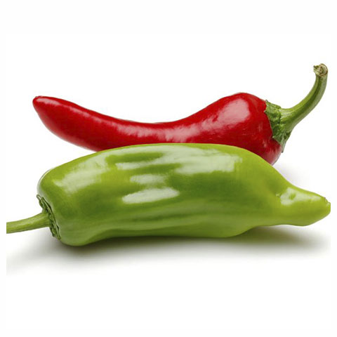 Chili Pepper